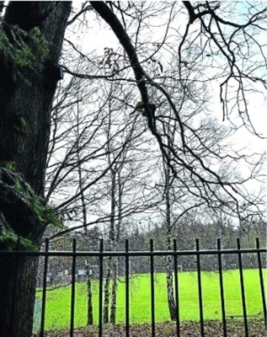Bogeler Sportplatz strahlt in neuem Licht