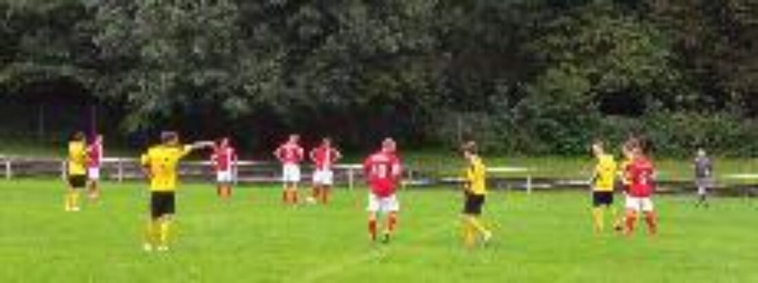 SG Arzbach/Kemmenau - SG Bogel/Reitzenhain/Bornich 4:2