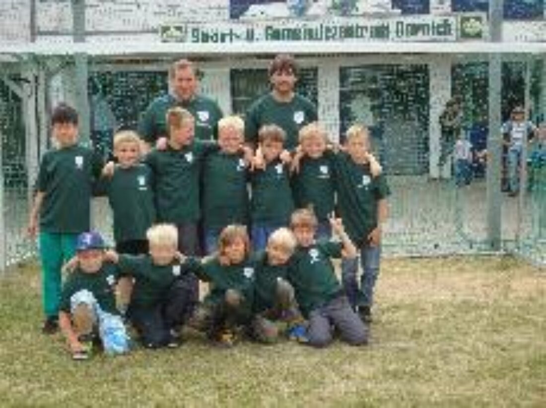Saisonabschluss der F-Jugend