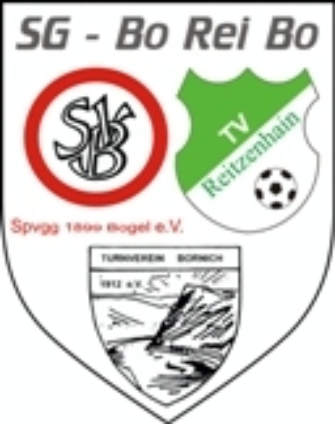 Hol Dir die Dauerkarte der SG BoReiBo